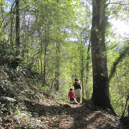 Le Pidro - A Family House With Private Stream And Woodland