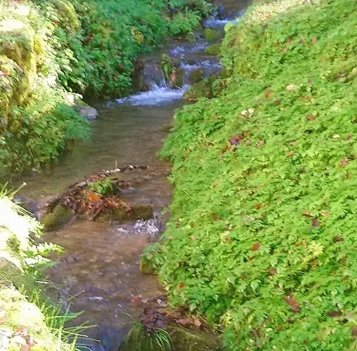 Le Pidro - A Family House With Private Stream And Woodland * Castelnau-Durban