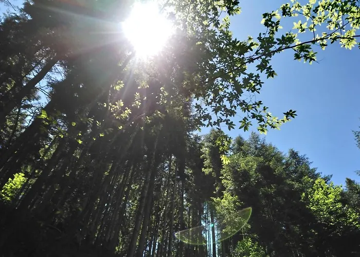 Le Pidro - A Family House With Private Stream And Woodland Casa de Férias Castelnau-Durban