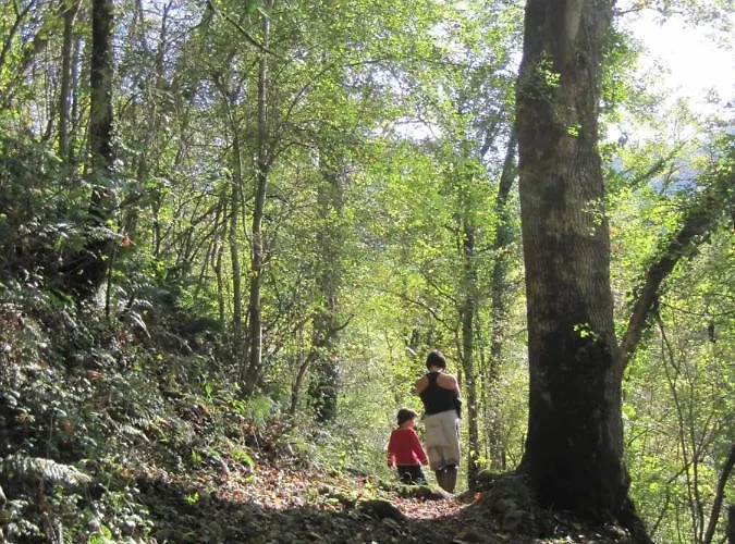 Le Pidro - A Family House With Private Stream And Woodland