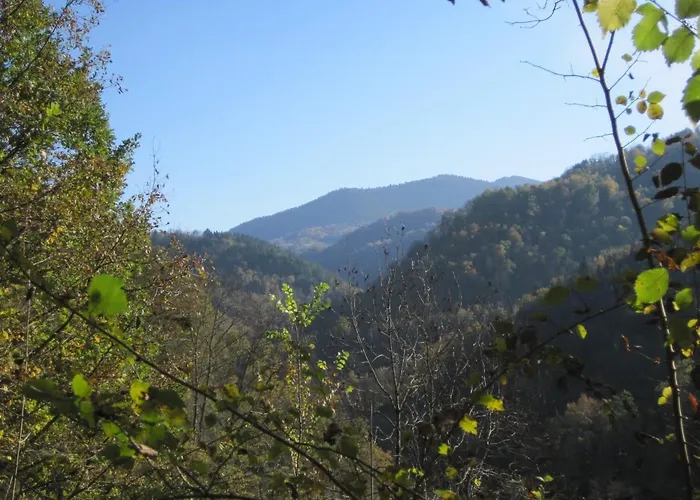 Le Pidro - A Family House With Private Stream And Woodland Casa de Férias *