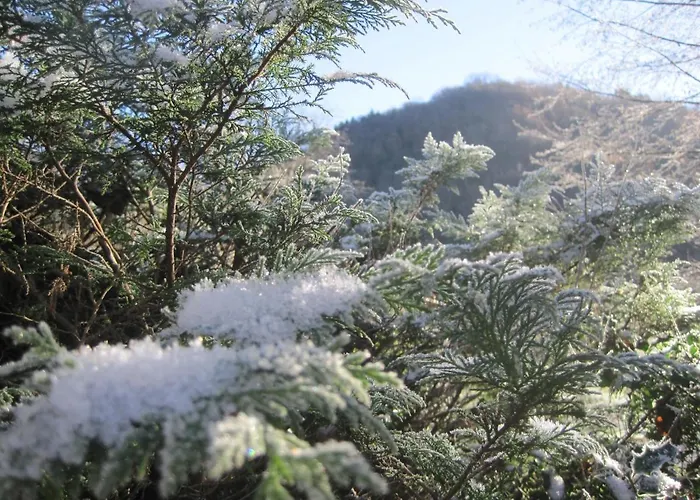 Le Pidro - A Family House With Private Stream And Woodland Casa de Férias