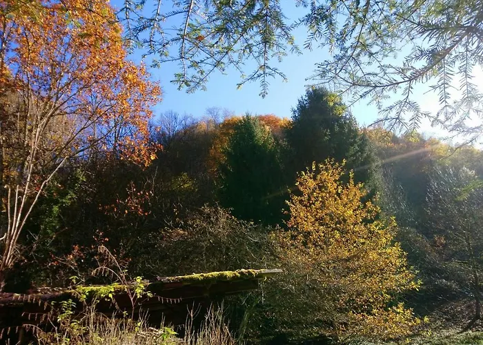 Le Pidro - A Family House With Private Stream And Woodland Castelnau-Durban